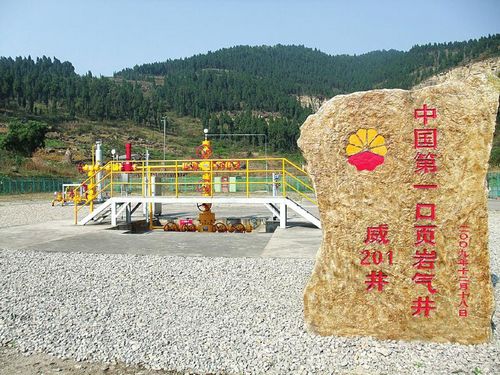 參與完成中國第一口頁巖氣井的試用開發